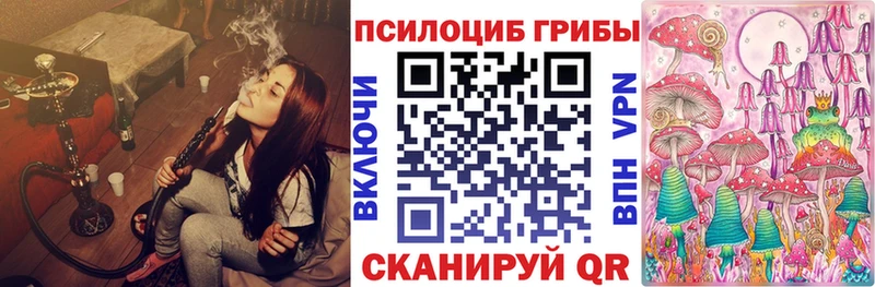 блэк спрут рабочий сайт  Карачев  Галлюциногенные грибы мицелий 